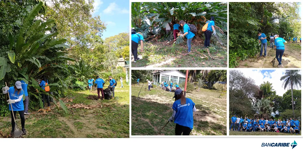 Bancaribe contribuye a recuperar áreas verdes del Jardín Botánico