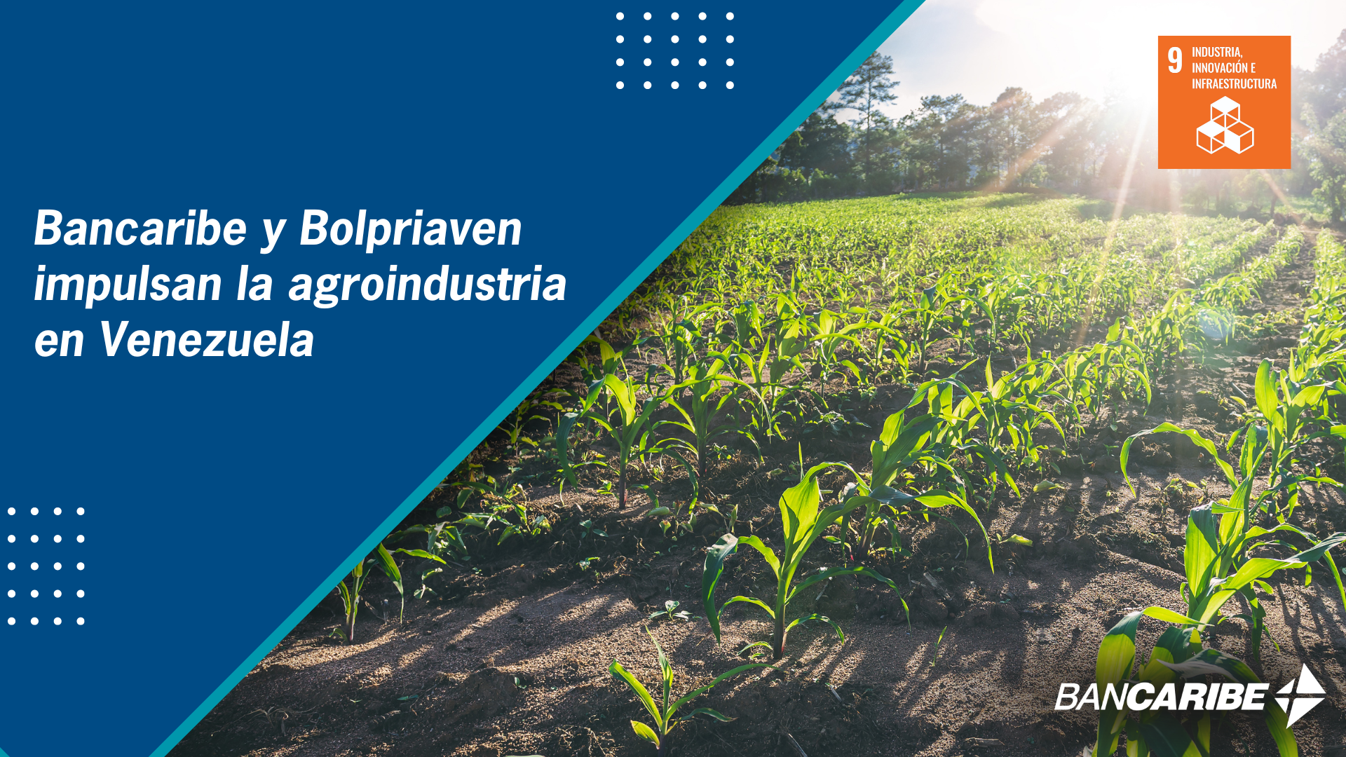 Alianza entre entidades para impulsar la agroindustria en Venezuela