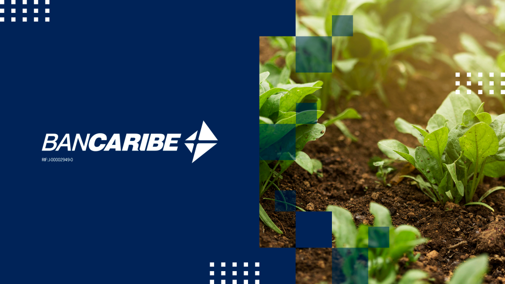 Bancaribe participó como agente liquidador en su primera operación de compra-venta sobre contratos de bono de prenda de Bolpriaven