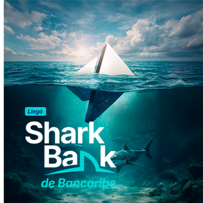 Imagen sitio bancaribe en móvil