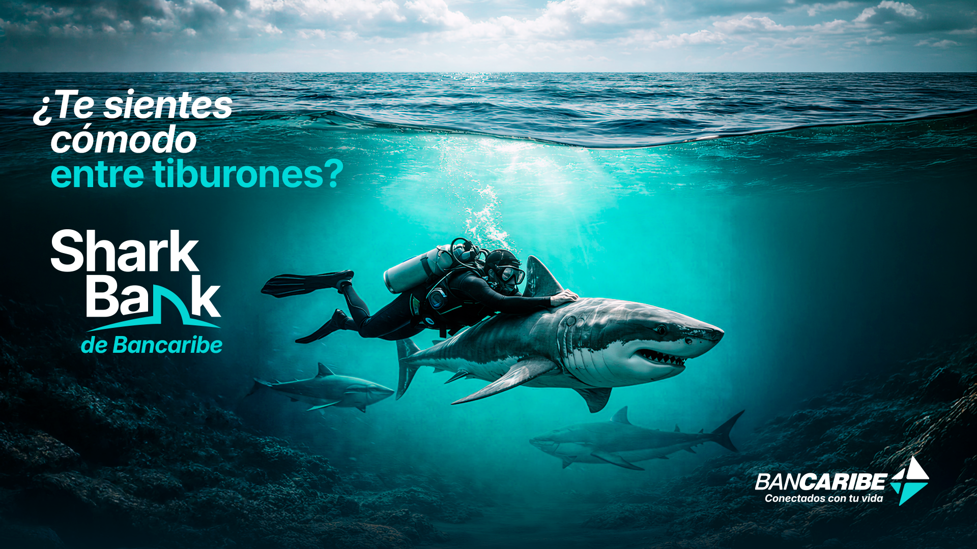 Bancaribe impulsa Shark Bank con alta participación de startups y soluciones tecnológicas